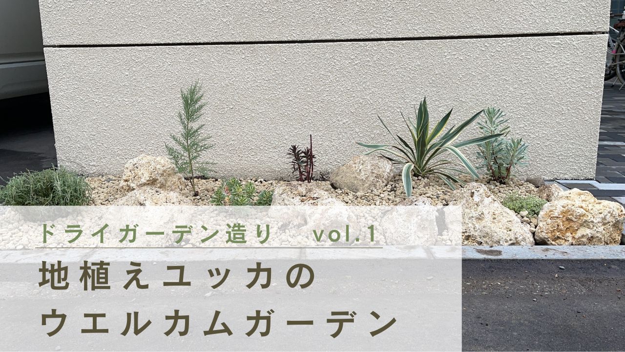 ドライガーデン造りvol.1】地植えユッカのウエルカムガーデン | さっぽろに棲みましょ